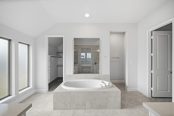 18903 Hackney Trot L-27