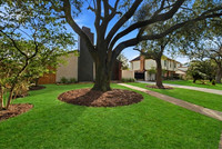 11303_Olympia_Dr staged-2