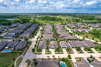 30610 Southern Dewberry-8