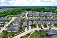 30610 Southern Dewberry-9