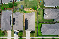 30610 Southern Dewberry-6
