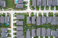30610 Southern Dewberry-11
