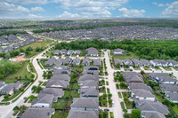 30610 Southern Dewberry-10