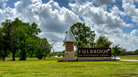30610 Southern Dewberry-16