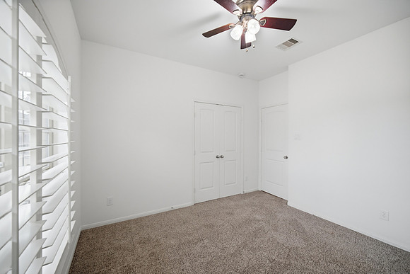 3831 Daintree Park Drive-19