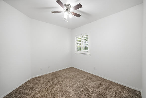 3831 Daintree Park Drive-21