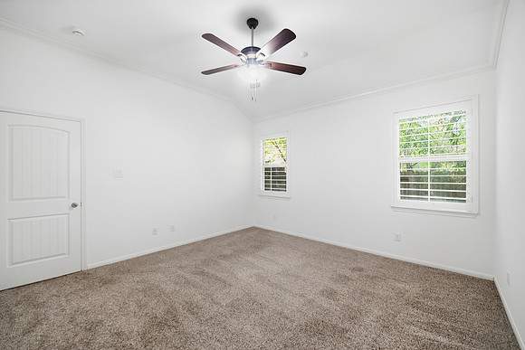 3831 Daintree Park Drive-2