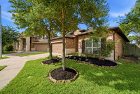 3831 Daintree Park Drive-4
