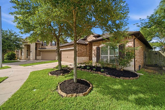 3831 Daintree Park Drive-4