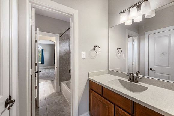 17706 Honey Daisy Ct-98