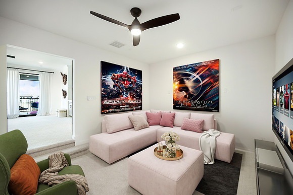 staged Movie room-1