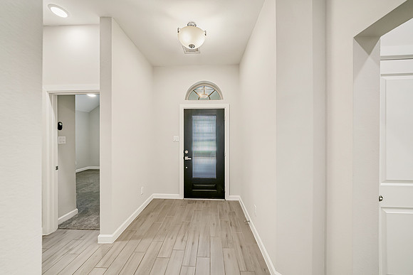 2407 Elmwood trail-6