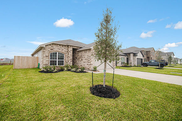 782 Dewberry-2