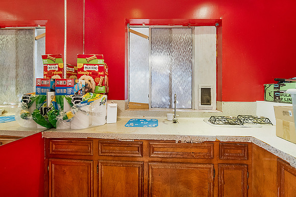 10411 Rippling Fields Dr-13