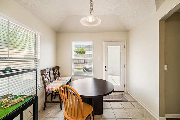 20518 Spring Aspen Lane-20