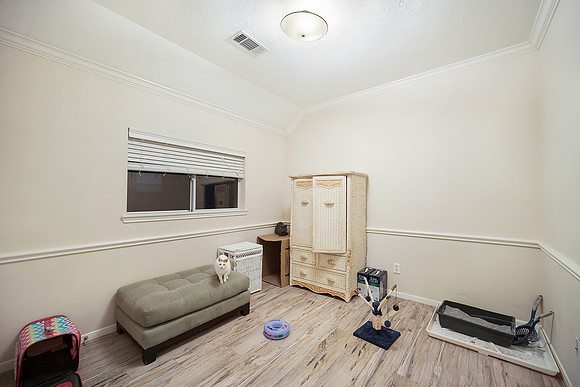 18002 Ivory Crossing Ln-30