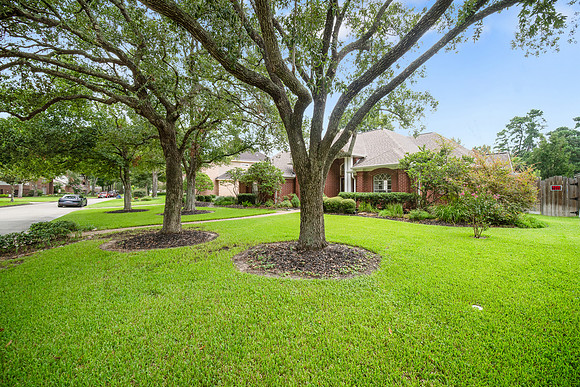 14718 Sandy Creek Dr-2