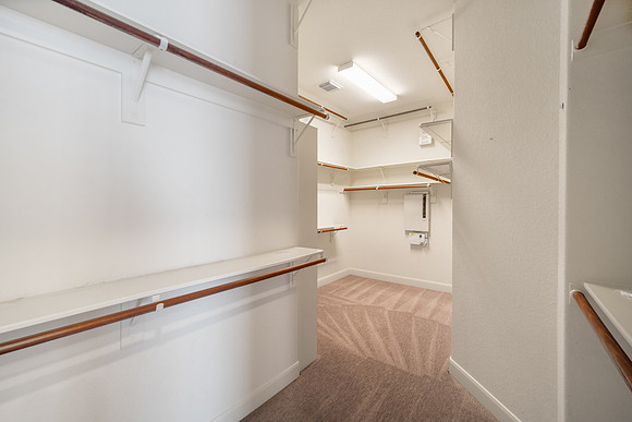 19503 Cisco Court-32